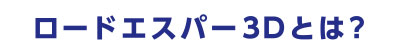 ロードエスパー3Dとは？