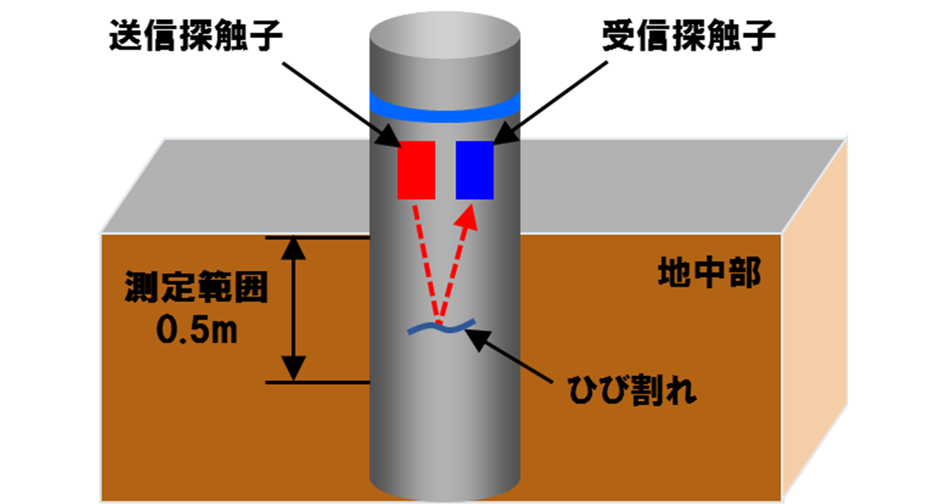 ポールテスタ